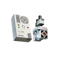 Detector de gaz meta...