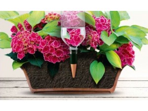 Adaptor sticla Blumat