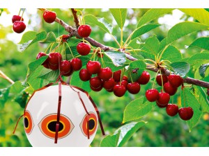 Balon pentru speriat pasari