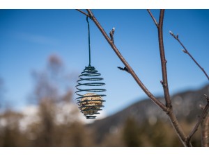 Hranitor pentru pasari Twisty