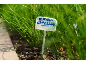 Tablite marcaj 6 x h 34 cm (10 buc)