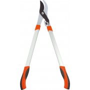 Cleste pro...