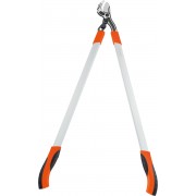 Cleste pro...