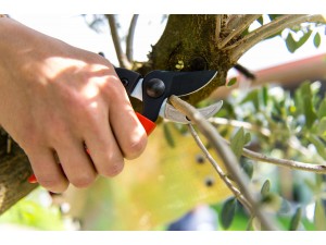 Foarfeca de gradina tip nicovala, 20 cm, lama teflonata