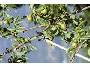 Foarfeca profesionala pentru taiat tip bypass cu brat lung 120 cm