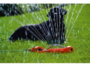 Aspersor Stocker oscilant din plastic