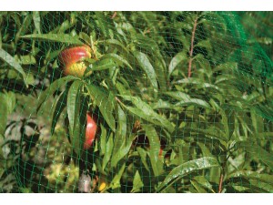 Plasa protectie contra pasari, 4 x 10 m