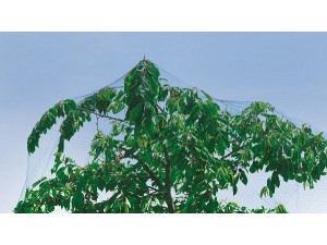 Plasa protectie contra pasari, 4 x 10 m
