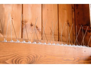 Spini contra pasari 50 cm - 30 spini