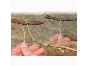 Sfoara de legat biodegradabila Padrafix 1,5 mm - 16 cm