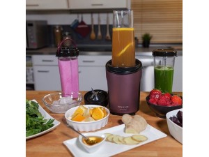 Blender Smoothie Taurus Shake Away