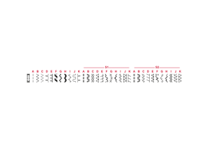 Masina de cusut Veritas Camille