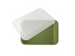 Tava de copt dreptunghiulara cu capac ZASS Gourmet