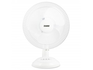 Ventilator de masa Zass ZTF 1203