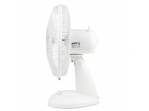 Ventilator de masa Zass ZTF 1203